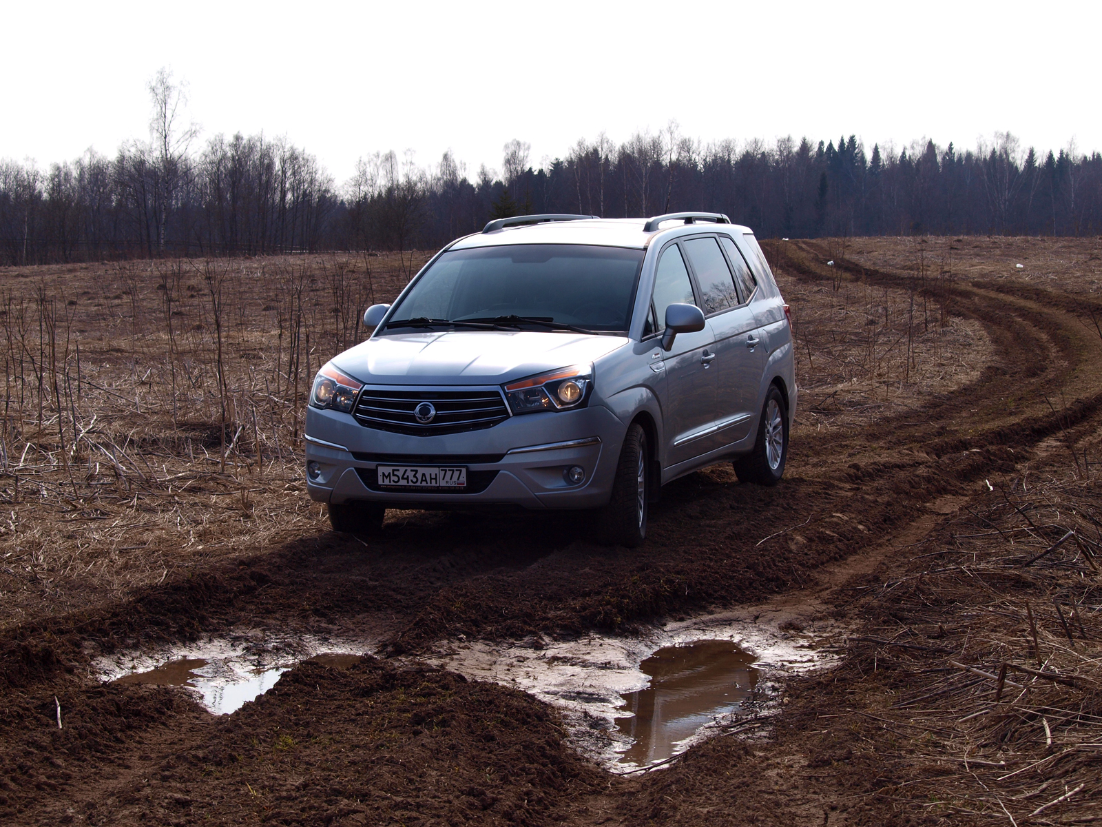 SSANGYONG Stavic off Road